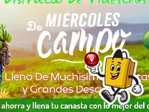 MIERCOLES DE CAMPO