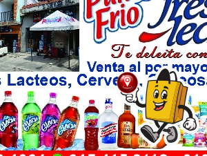 FRESKALECHE PUNTO FRIO