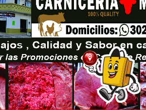 CARNICERIA MAYA #3