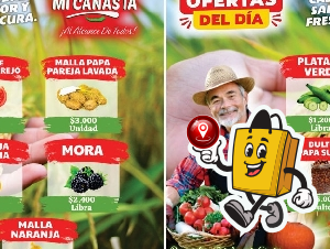 SUPERMERCADO MI CANASTA / OFERTAS DEL DIA 07-06/2025