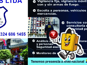 SEGURIDAD ÁNGETELS LTDA